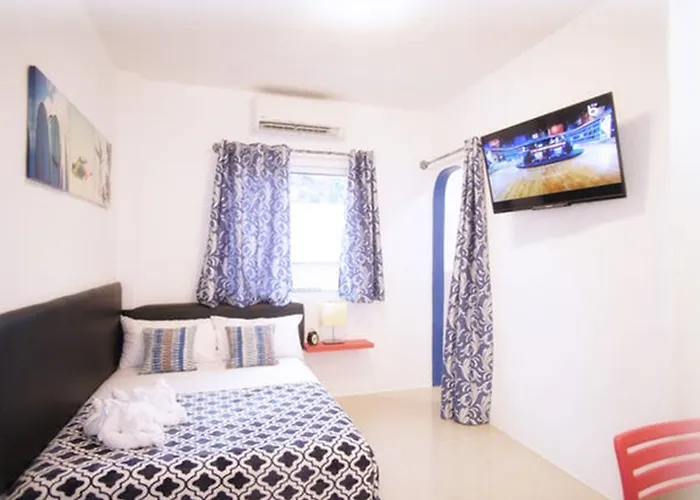 D'gecko Moalboal
