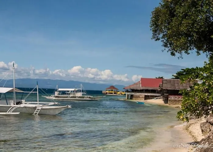 D'gecko Hotel